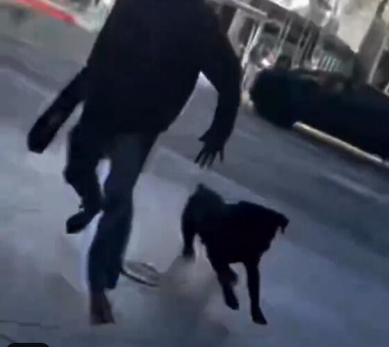 He released his dog, which bit one of them on the leg (Photo: From social media, Section 27A) החשוד והכלב רצים לעבר היהודים