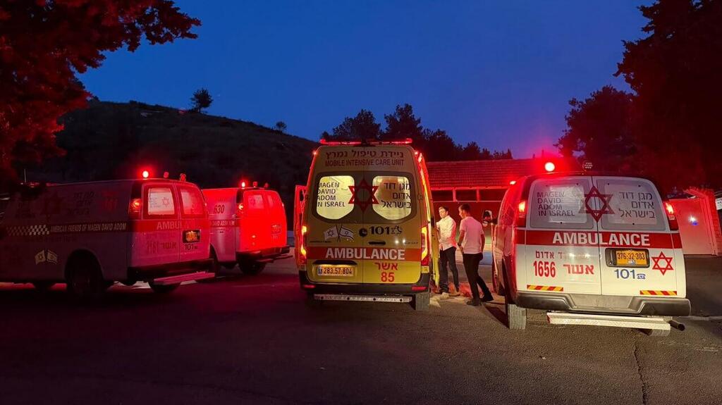 Место аварии в Галилее (Фото: МАДА) ילדה בת 4 נפצעה במהלך רכיבה על טרקטורון סמוך לחוסן
