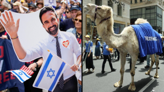זוהרן ממדאני מצעד התמיכה השנתי בישראל, בשדרה החמישי בניו יורק