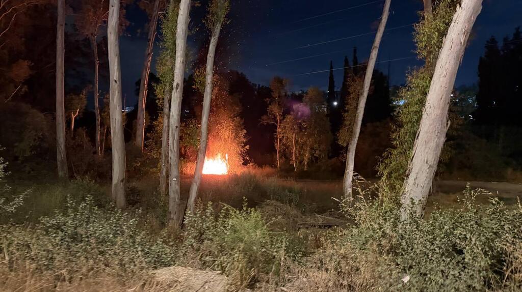 תמונה