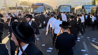 סחטנים, נמאסתם