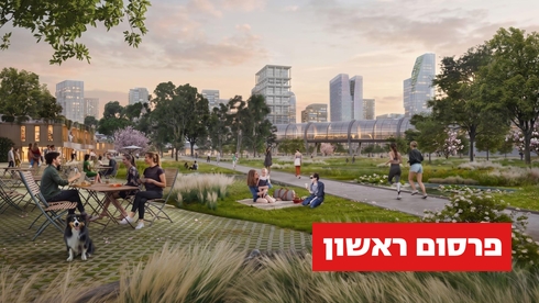 הדמיה של התוכנית