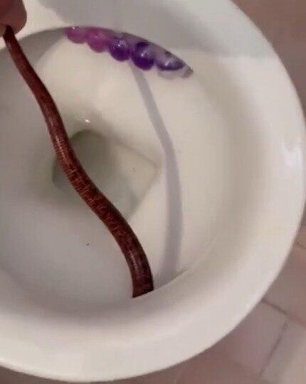 בן בסט מנסה להוציא את קמטן החורש מהאסלה
