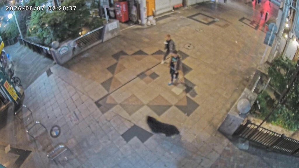 Медведь в торговом центре Уцуномии (Фото: ORION STREET MALL PROMOTION ASSOCIATION/Handout via REUTERS) חיפושים אחר דוב ב עיר אוצונומיה יפן