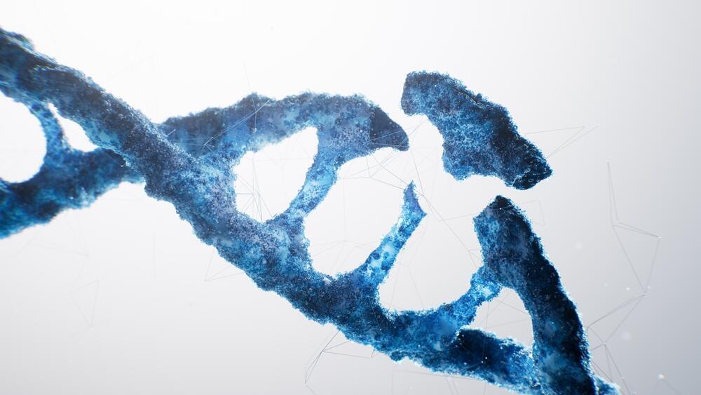 Photo: Shutterstock עריכה גנטית תיקון דנ"א