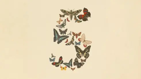 קלוד פייבל 5 וקלוד מיתוס 5 יצאו לציבור