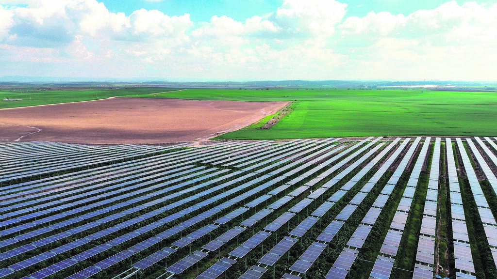 Solar panels in the fields of Kibbutz Revadim in the Shfela region (Photo: Courtesy of Doral) פאנלים סולריים בשדות קיבוץ רבדים בשפלה