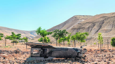 הטיל האיראני שנחת ביו"ש ביום שני השבוע