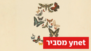 למה ארה"ב מיהרה לעצור את מודל ה-AI של אנת'רופיק