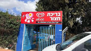 הבריכה של ציון