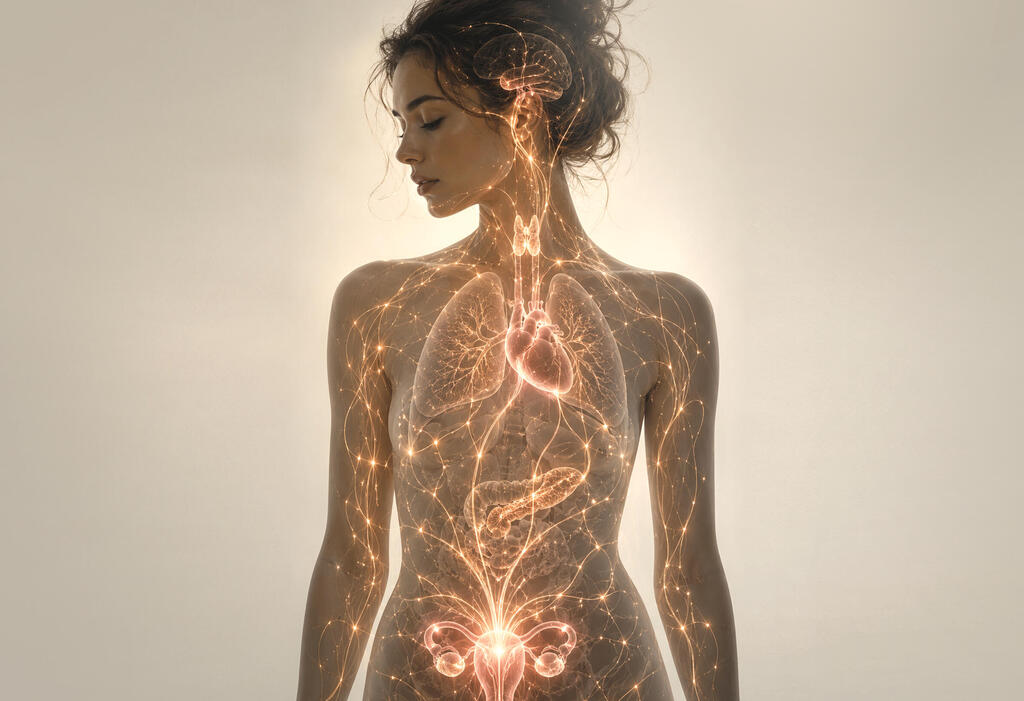 PCOS is no longer viewed solely as a gynecological disorder, but as a multi-system metabolic phenomenon (Photo: Shutterstock/ASAP Creative ) שחלות פוליציסטיות