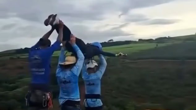 ברזיל בנג'י זרקו בלי לקשור לחבל הרוגה