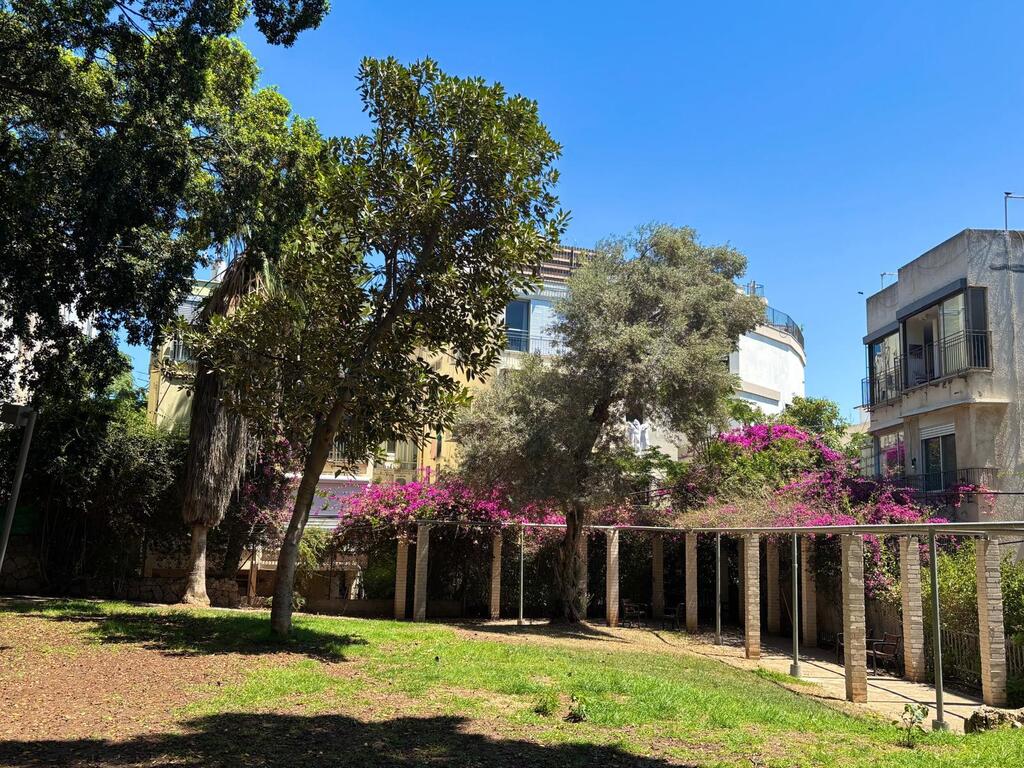 Old North Park area in Tel Aviv (Photo: Noah Sander) Old North Park area in Tel Aviv