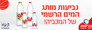 המכבייה