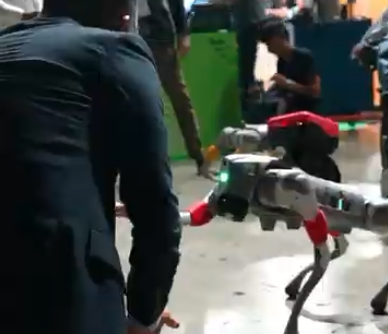 AI dog