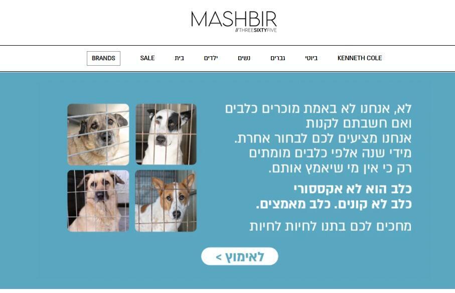 No, we’re not really selling dogs and you can’t add them to the cart. We’re suggesting you choose something else. From hundreds of dogs waiting in shelters, there is probably one that will suit you. A dog is not an accessory. A dog is not bought. A dog is adopted. Waiting for you at Let the Animals Live. 