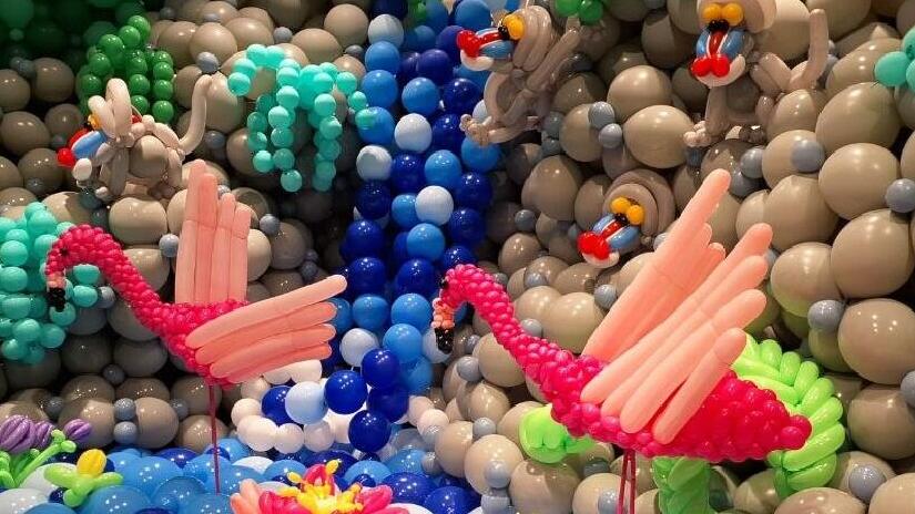 На выставке Balloon Wonderland (Фото: Анастасия Тадсон) Лабиринт, река фламинго и игры для детей и взрослых