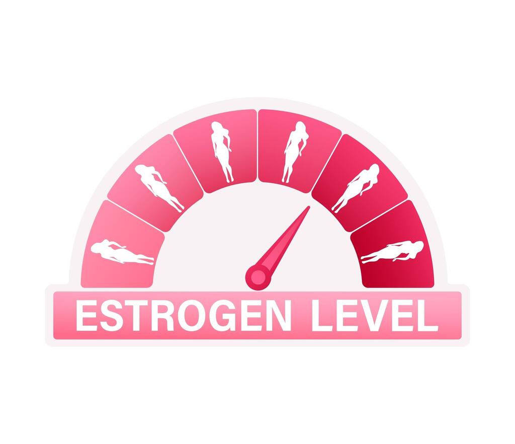 It all begins and ends with estrogen (Photo: Shutterstock) גיל המעבר נשים אסטרוגן