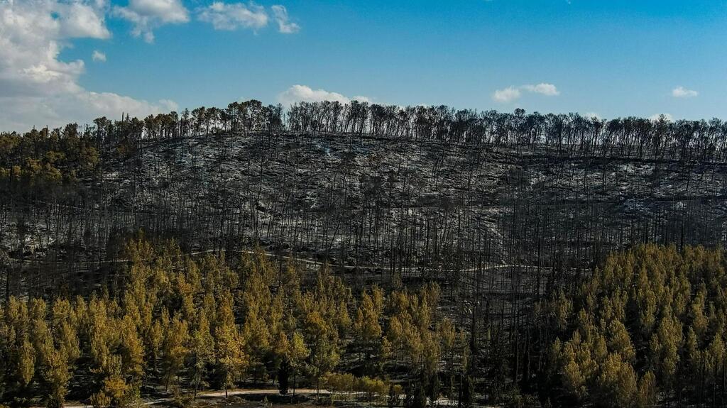Amid rising wildfire threat, KKL-JNF to invest NIS 13 million to safeguard 94 forest-adjacent communities 