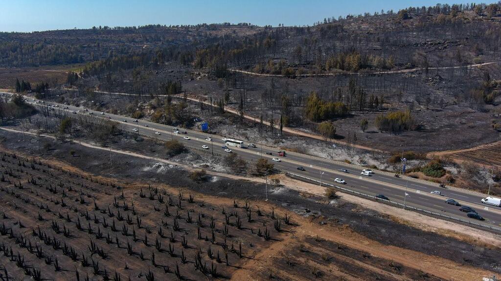 Amid rising wildfire threat, KKL-JNF to invest NIS 13 million to safeguard 94 forest-adjacent communities 
