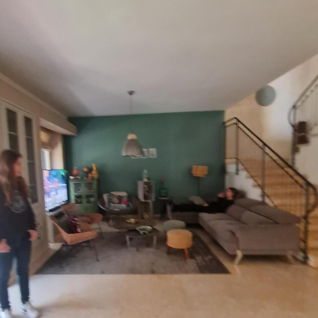 The living room before renovation (Photo: Osi Katz Dagan) לפני השיפוץ