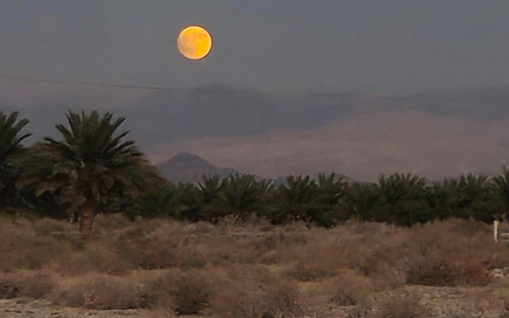 A severe water crisis is affecting the Central Arava (Photo: Koren Farm) אין מספיק מים לחקלאות בערבה התיכונה