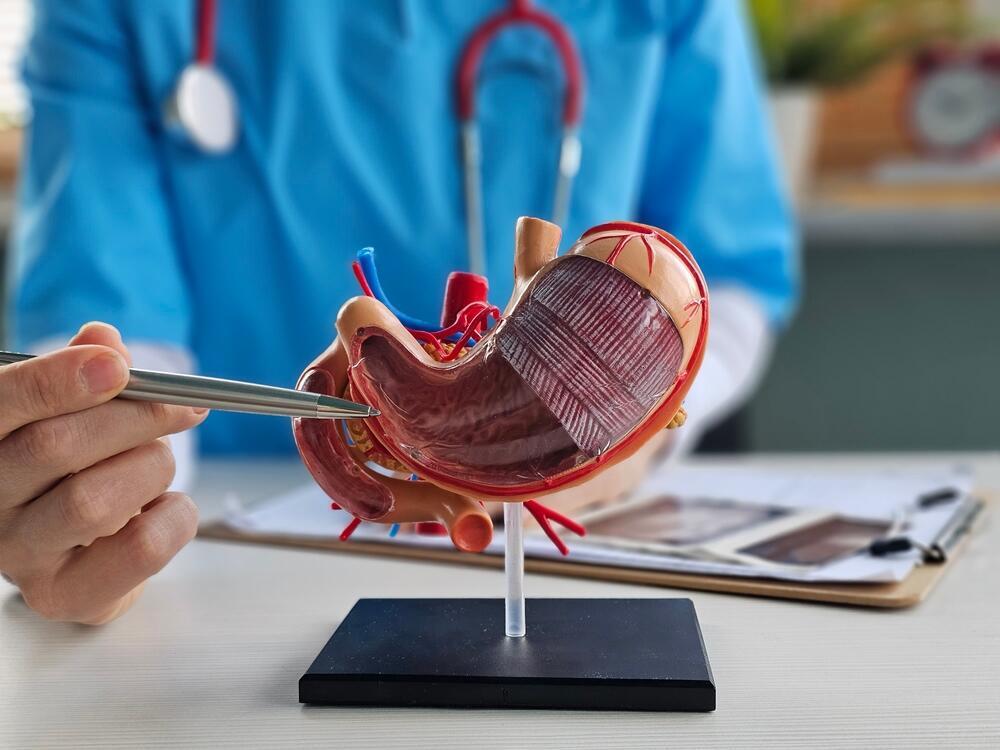 Damage to the stomach lining; autoimmune gastritis (Photo: Shutterstock) קיבה