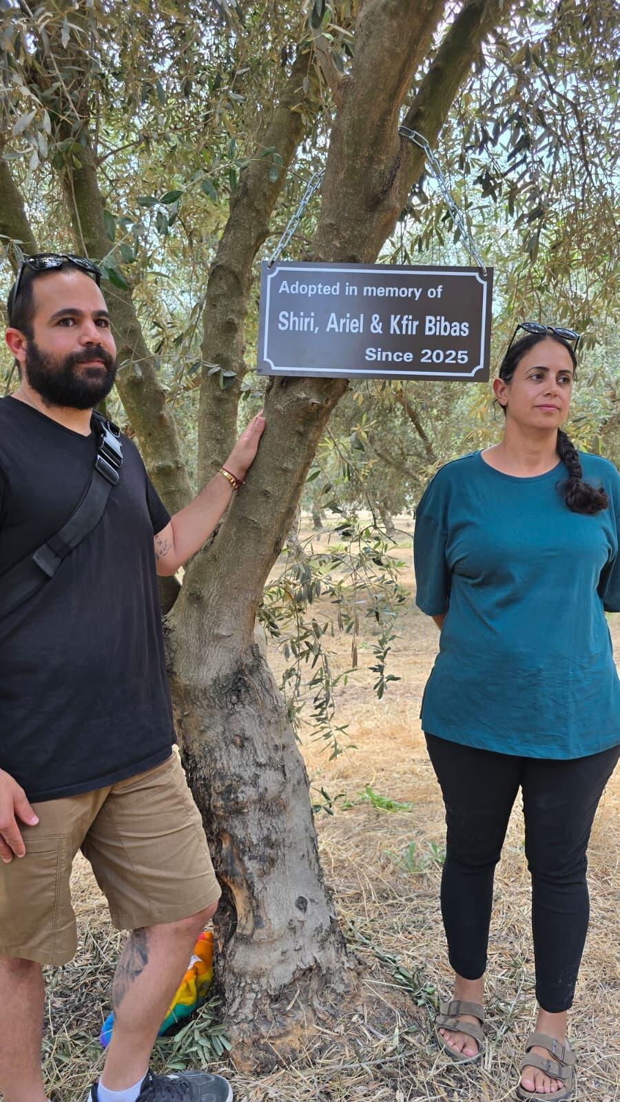 Yarden Bibas and his sister, Ofri, stand beside a memorial olive tree dedicated to Shiri, Ariel and Kfir Bibas 