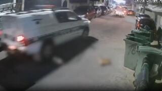 שוטרים הרגו חתולה בדריסה ועזבו את המקום בכפר ג'לג'וליה