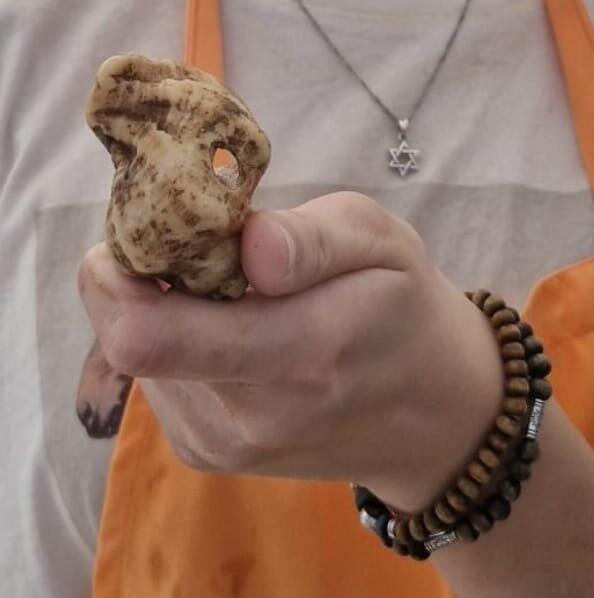 One of the found items (Photo: COGAT Spokesperson) אחד הפריטים