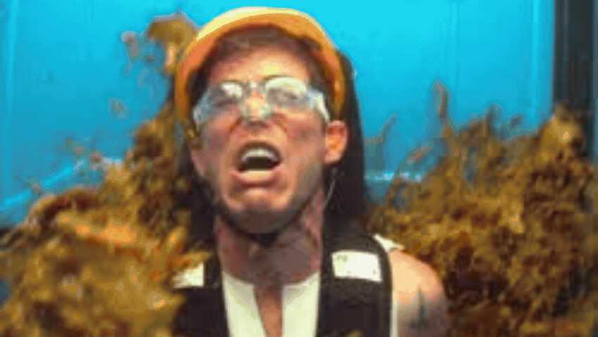 הקטעים המגעילים ביותר של ג'קאס