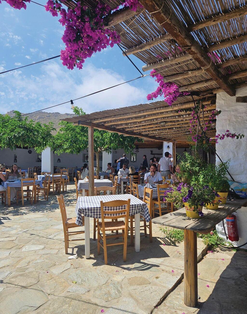 Rizes Farm, the restaurant (Photo: Yael Garty) חוות Rizes, המסעדה. טעמנו סלט יווני טרי ויוגורט עם ריבת אבטיח