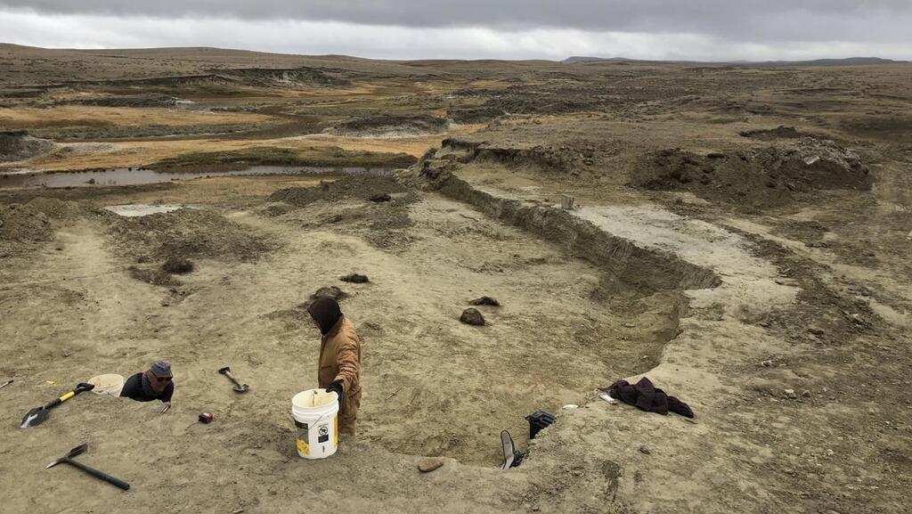 The excavation site in South Dakota (Photo: Sotheby’s) אתר החפירה