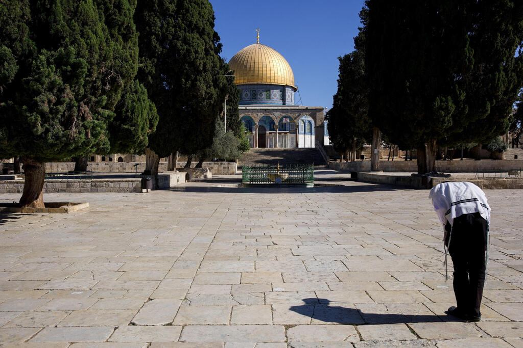 The Temple Mount (Photo: REUTERS/Naama Stern) הר הבית