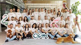 Oak team 