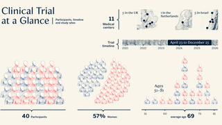Clinical trial at a glance (infographic)