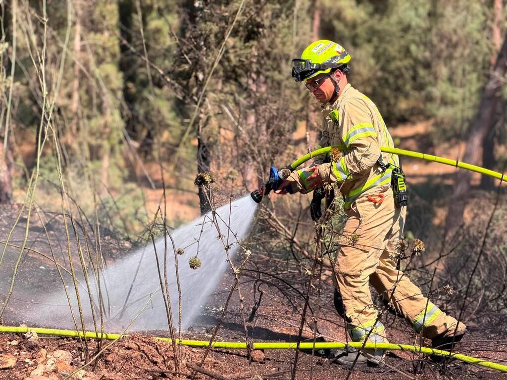 Firefighting efforts near Shimshit (Photo: Fire and Rescue Services) שריפה סמוך לשמשית