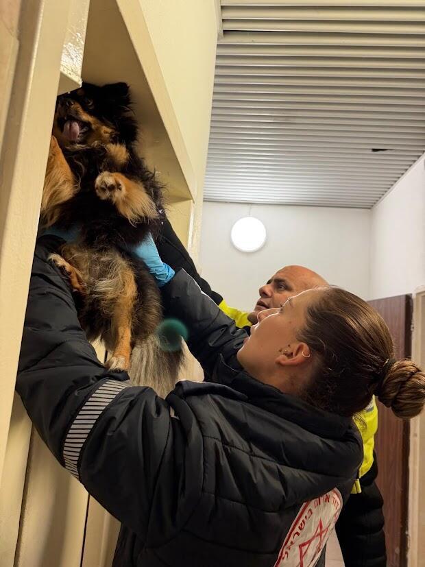 Magen David Adom EMTs rescuing Cora the dog (Photo: Magen David Adom) MDA EMTs Rescuing Cora