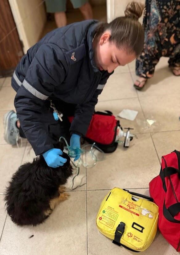 MDA EMT Shoval Katzin giving Cora oxygen (Photo: Magen David Adom) MDA EMT Shoval Katzin giving Cora oxygen