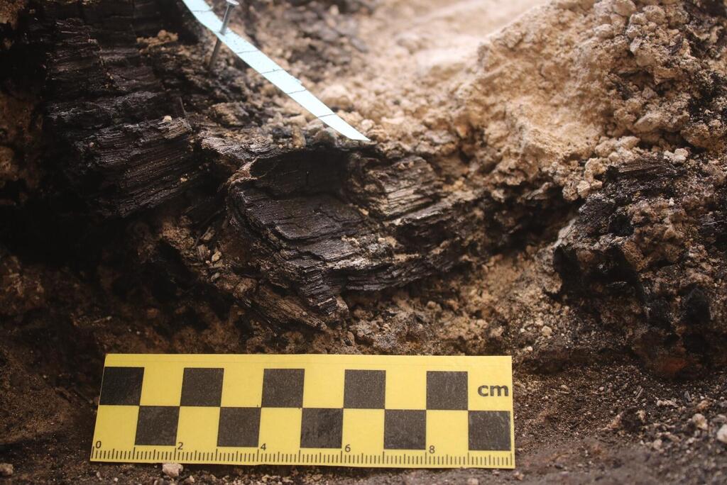 The rings on the wooden beams uncovered in the City of David (Photo: Efrat Bocher) הטבעות שעל קורות העץ שנחשפו בעיר דוד