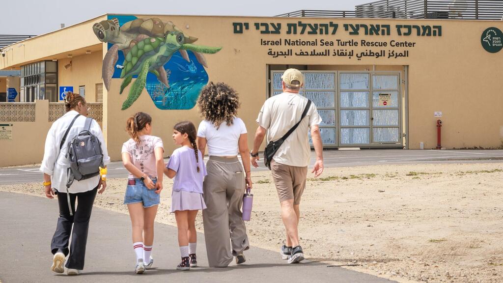 The National Sea Turtle Rescue Center (Photo: Yoav Palma, Israel Nature and Parks Authority) The National Sea Turtle Rescue Center