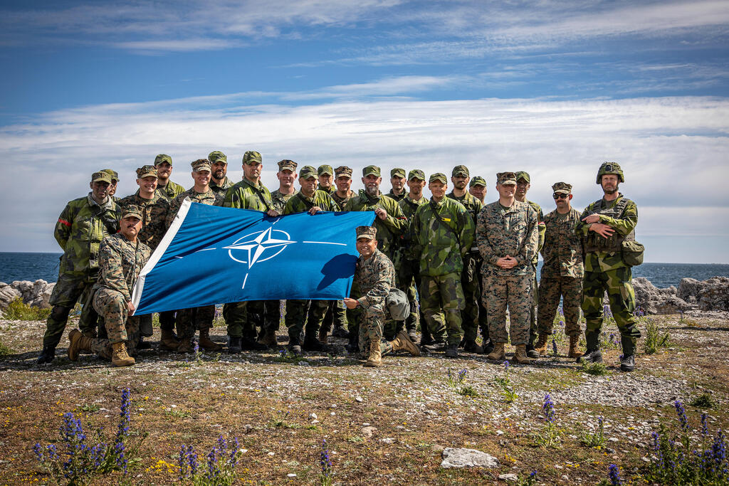 American and Swedish troops pose for a group photo during a 2024 NATO exercise on Sweden’s Gotland island in the Baltic Sea (Photo: US Marine Corps photo by Sgt. Andy Martinez) חיילים אמריקנים ושבדים בצילום קבוצתי במהלך תרגיל של נאט"ו באי גוטלנד השייך ל שבדיה בים הבלטי ארכיון 2024