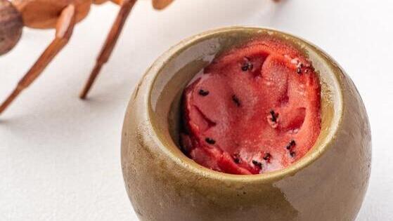  Ant-topped sorbet dessert
