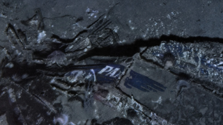הלוגו של חברת פאן אמריקן וורלד איירווייז על חלקו הקדמי של מטוס ה"Clipper Endeavor"