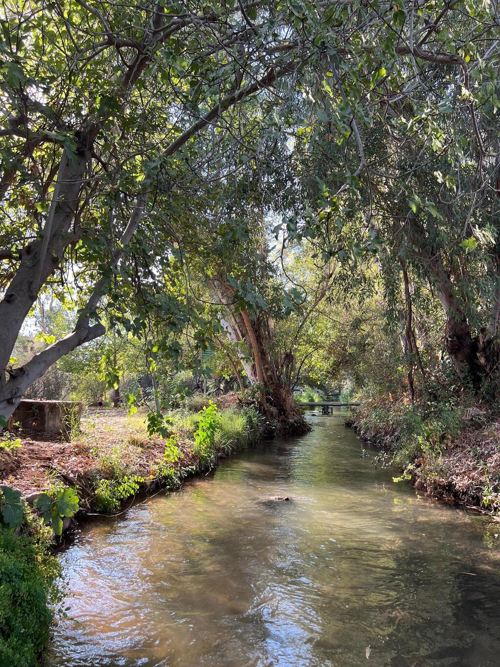 Galileo Winery (Photo: Ben Pershitz) יקב גליליאו