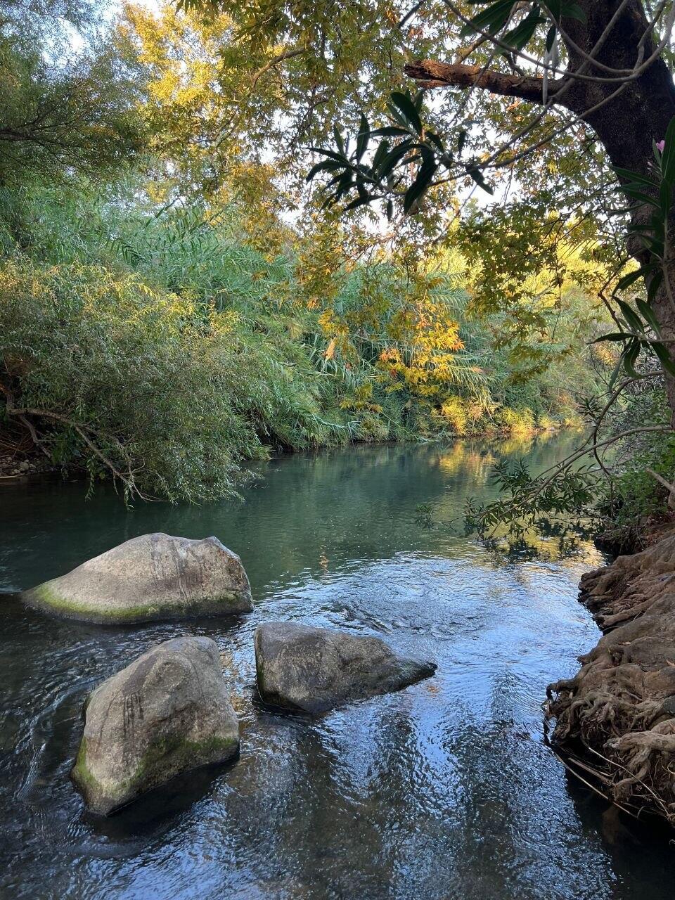 The spot along the Snir Stream north of Columbia Beach (Photo: Ben Pershitz) הפינה בנחל שניר צפונית לחוף קולומביה