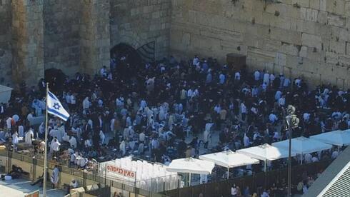 מתפללים כותל המערבי בבוקר תשעה באב