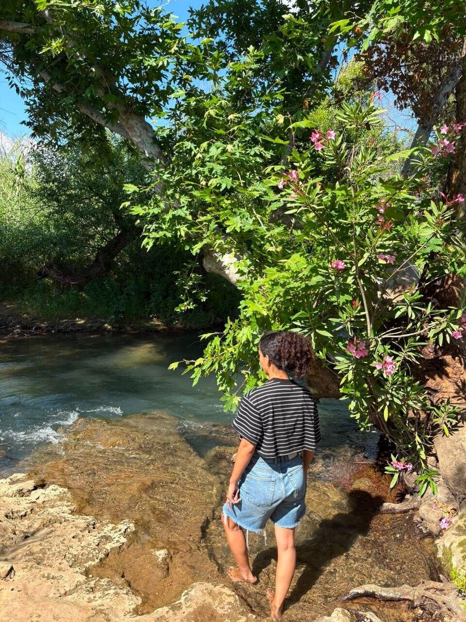 The spots along the Banias near Nabi Yehuda (Photo: Ben Pershitz) הפינות בבניאס ליד נבי יהודה
