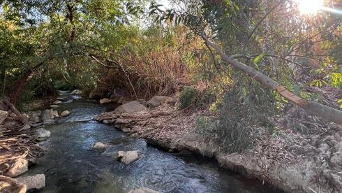 הפינה בנחל עיון ליד כפר יובל