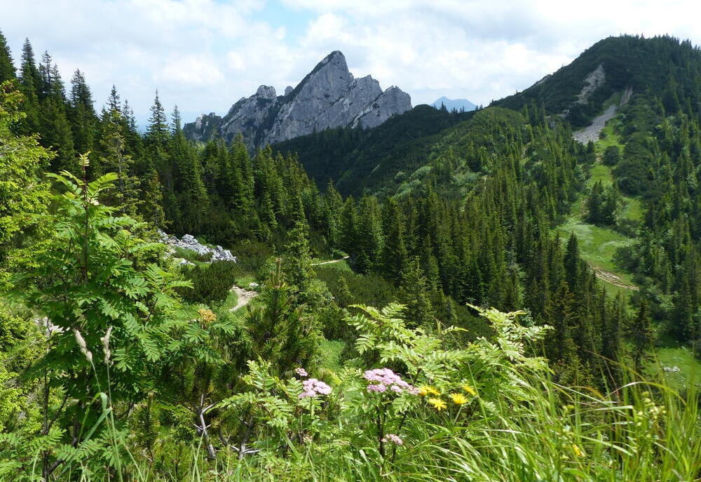 Rothaar Mountains, Germany (Photo: guentermanaus/Shutterstock) Rothaar Mountains, גרמניה